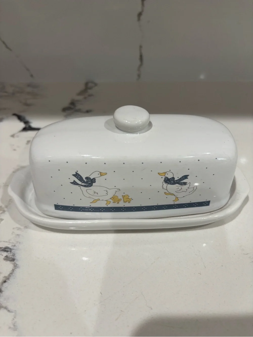White Ceramic Butter Dish with Duck Family Design